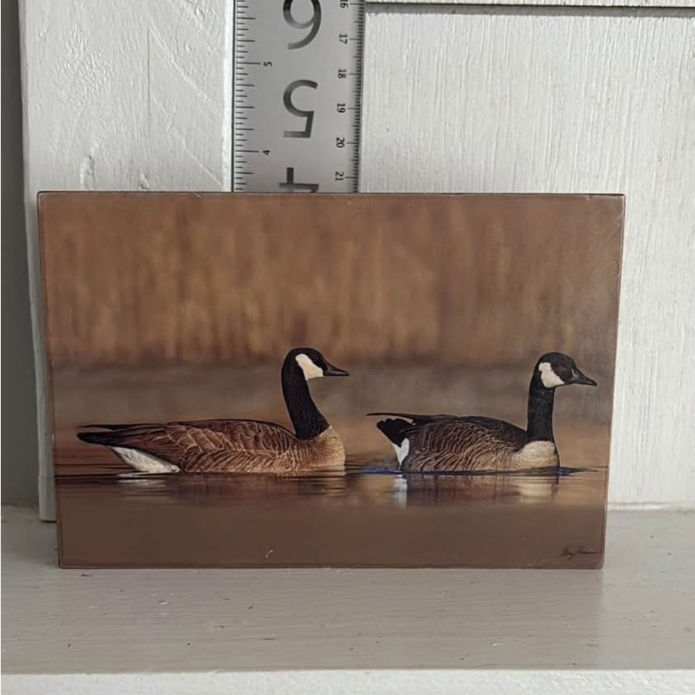 Brown Goose Art Print